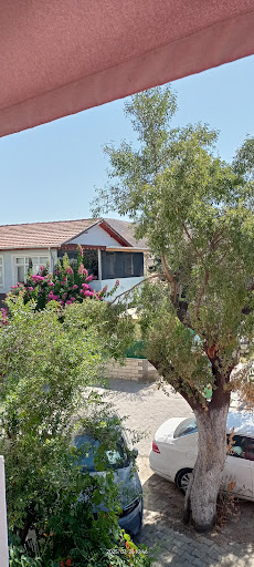 Photo from customer review